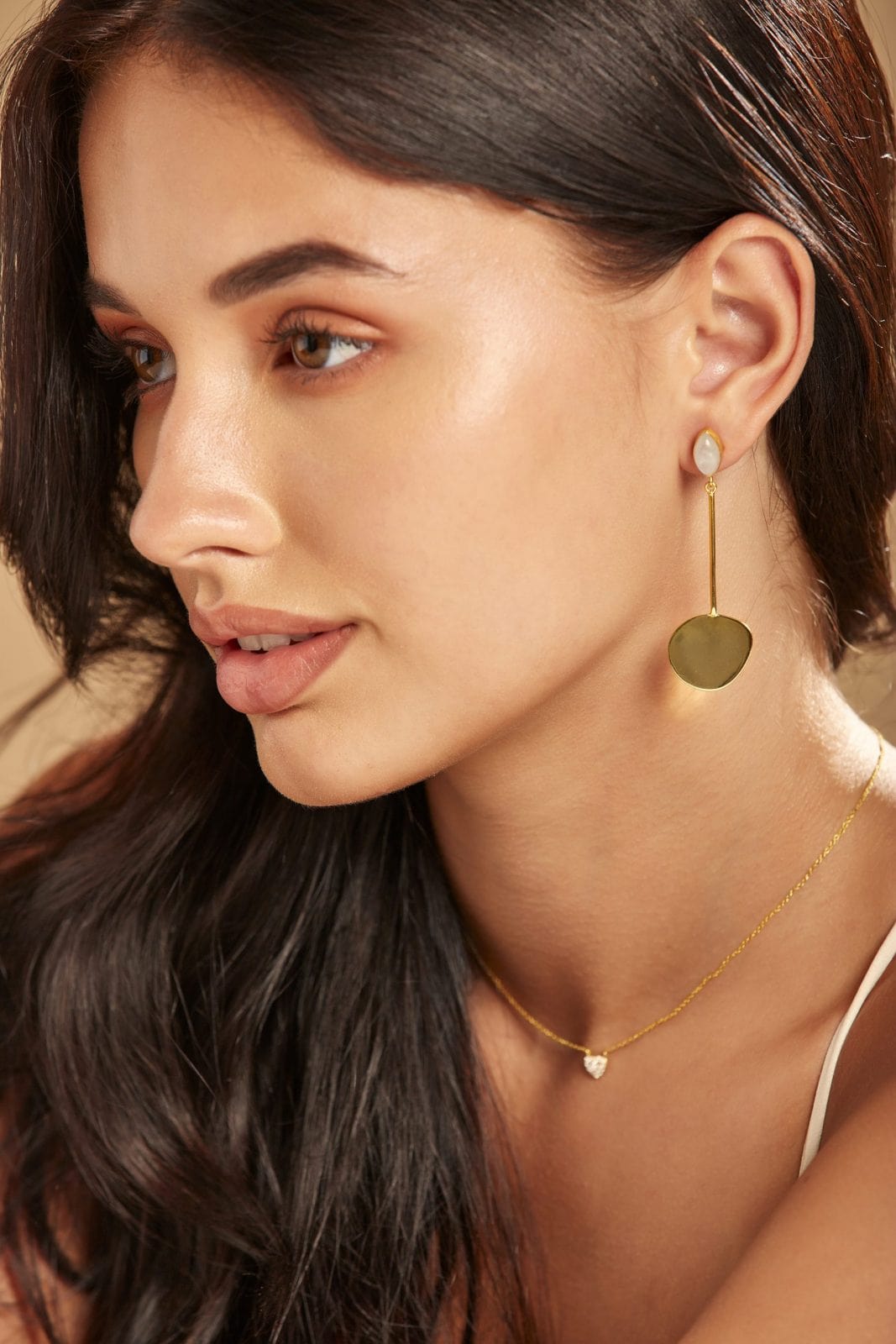 jewelry, fashion, ellipse, earrings, style, accessories, women